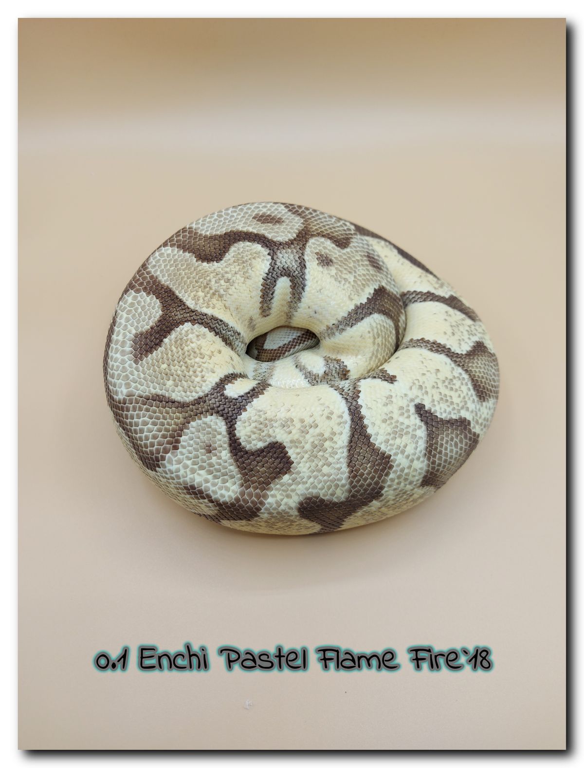 0.1 Enchi Pastel Flame Fire 18